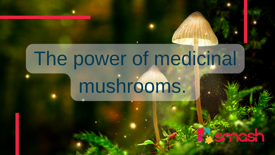 Health Benefits of Mushrooms