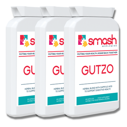 SMASH Worldwide Gutzo